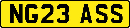 NG23ASS