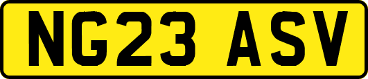 NG23ASV