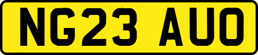 NG23AUO