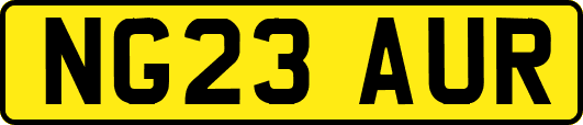 NG23AUR