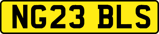 NG23BLS