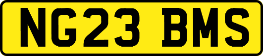 NG23BMS