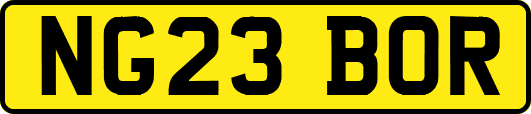 NG23BOR