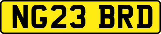NG23BRD