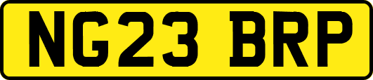 NG23BRP