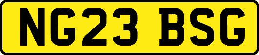 NG23BSG
