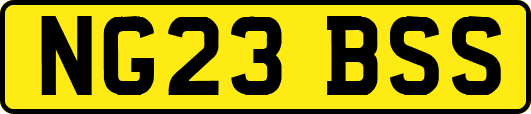 NG23BSS