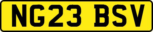 NG23BSV