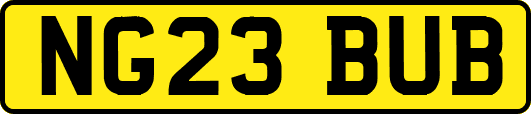 NG23BUB