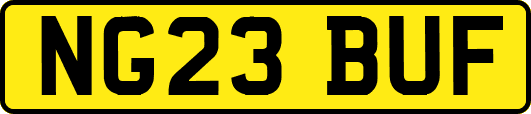 NG23BUF