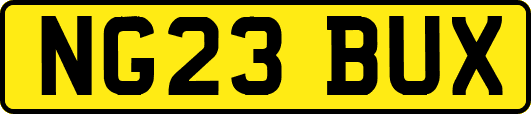 NG23BUX