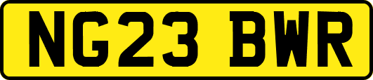 NG23BWR