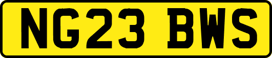 NG23BWS