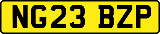 NG23BZP