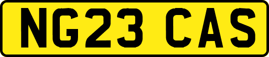 NG23CAS