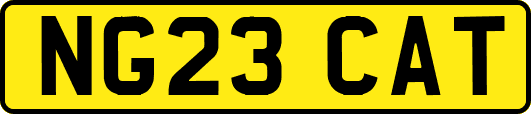 NG23CAT