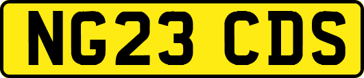 NG23CDS