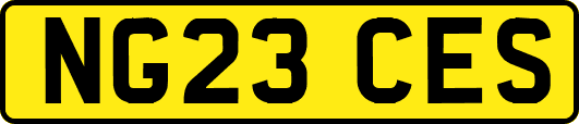 NG23CES