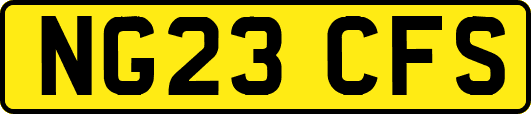 NG23CFS