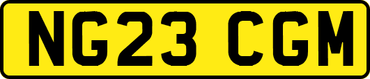 NG23CGM