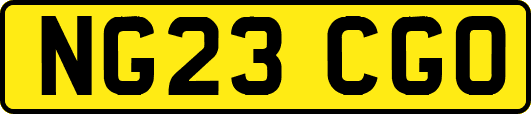 NG23CGO