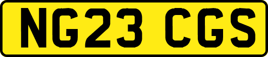 NG23CGS