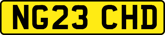 NG23CHD