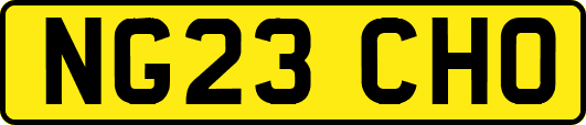 NG23CHO