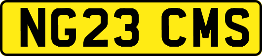 NG23CMS