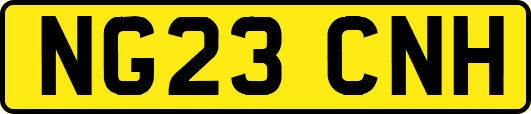NG23CNH