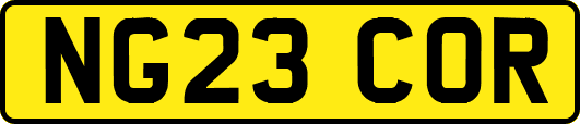 NG23COR