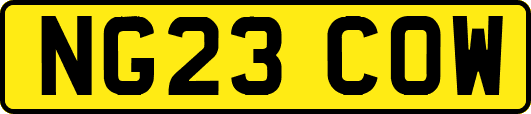 NG23COW