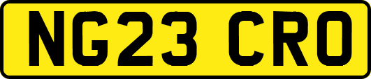 NG23CRO