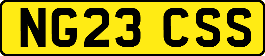 NG23CSS
