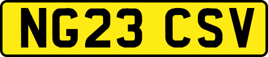 NG23CSV