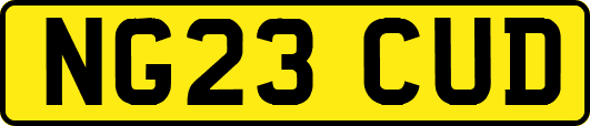 NG23CUD