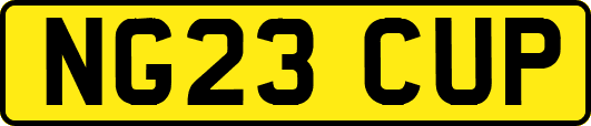NG23CUP