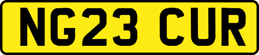 NG23CUR