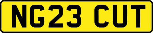 NG23CUT