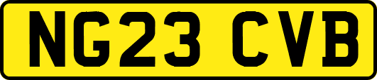 NG23CVB