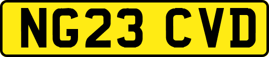 NG23CVD