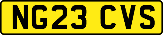 NG23CVS