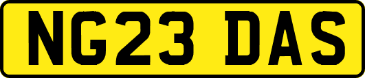 NG23DAS