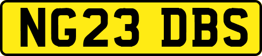 NG23DBS