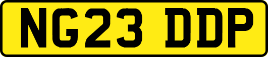 NG23DDP