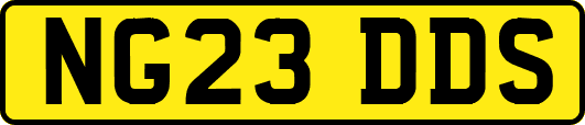 NG23DDS
