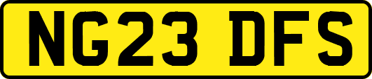 NG23DFS