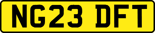 NG23DFT