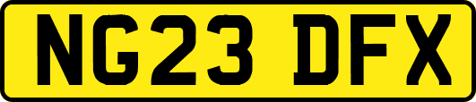 NG23DFX