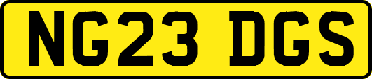 NG23DGS